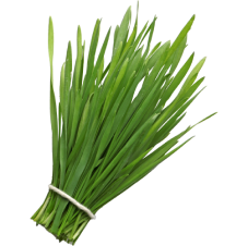 Wheatgrass super greens powder