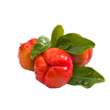 Acerola extract super greens powder