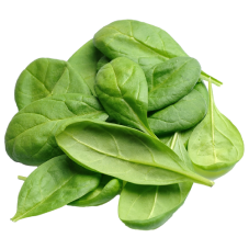 Spinach leaf super greens powder