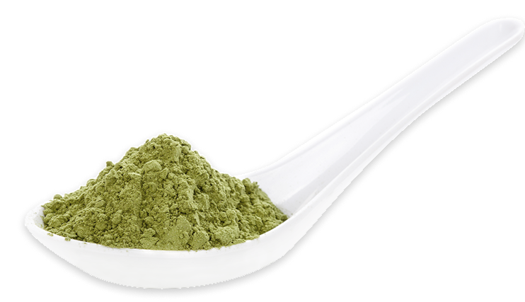 Scoop of super greens powder