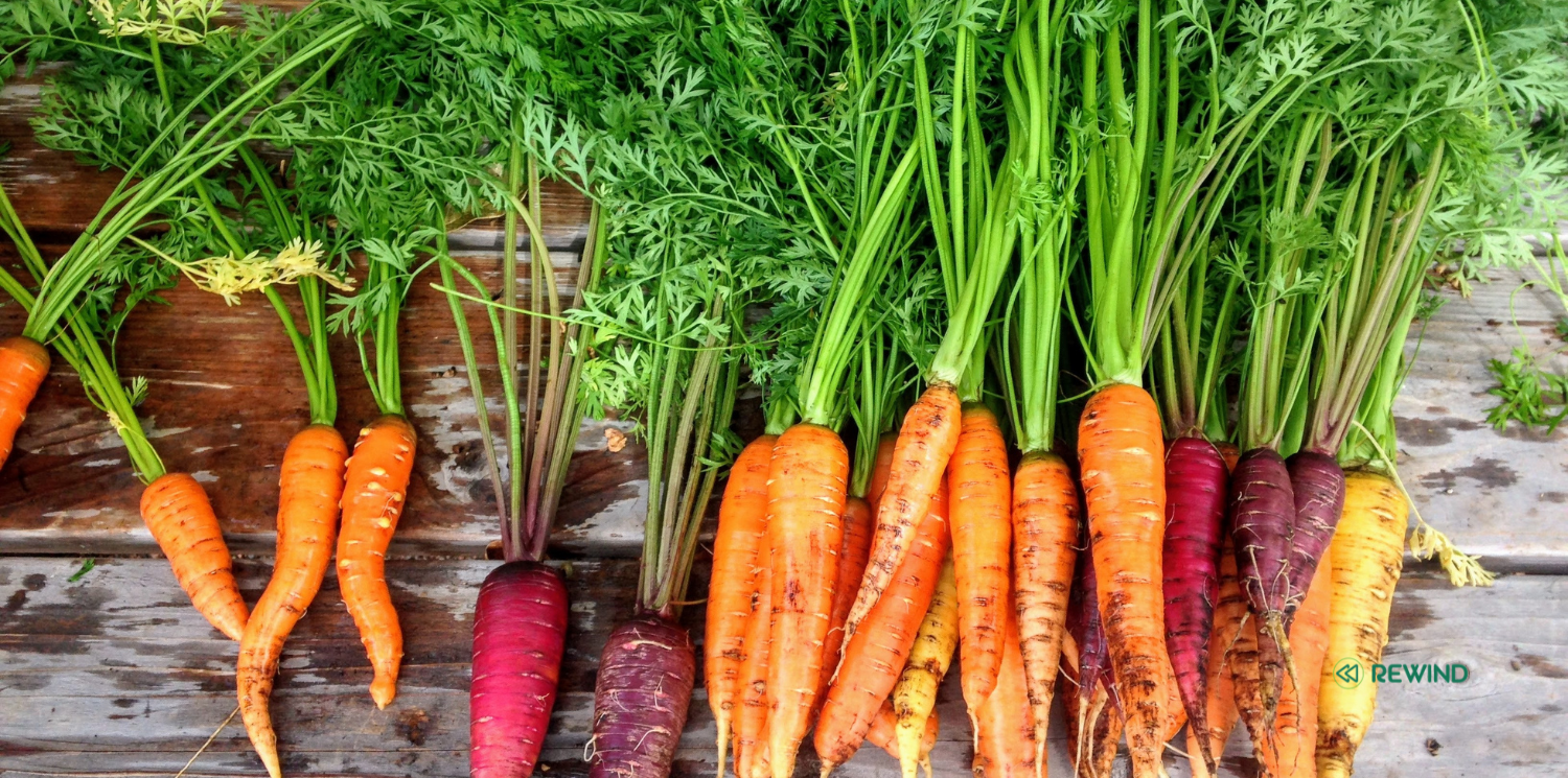 Elevate Your Super Greens: How Carrots Supercharge Your Greens Blend