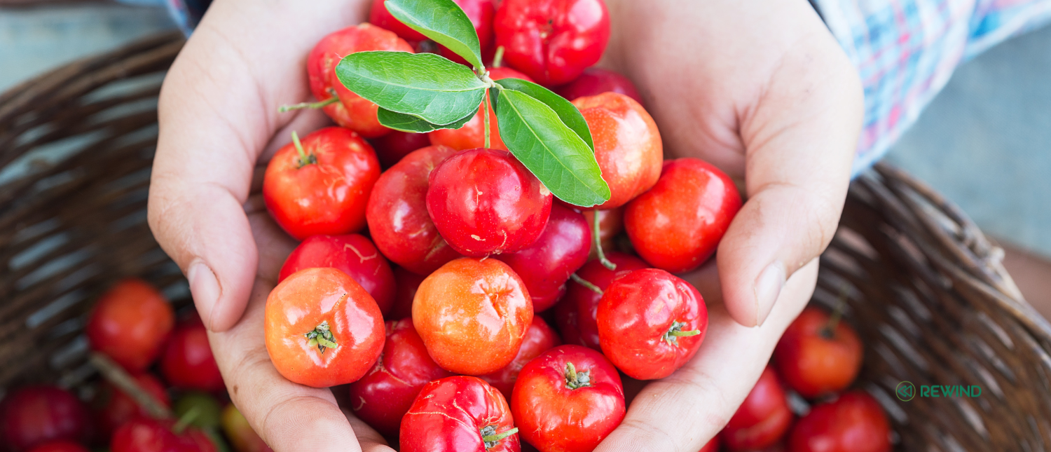 Acerola Extract: Enhancing Vitamin C Content in Your Green Juice