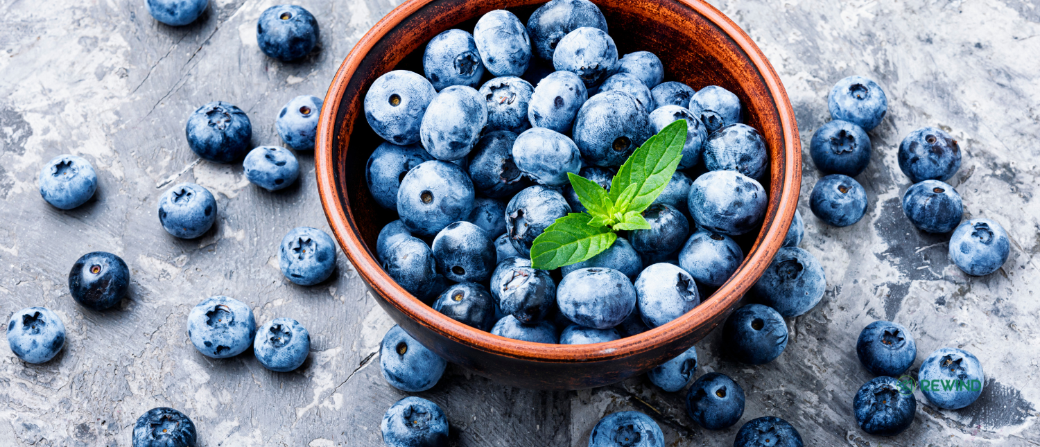 Bilberry Fruit Extract: Fighting Free Radicals with Super Greens