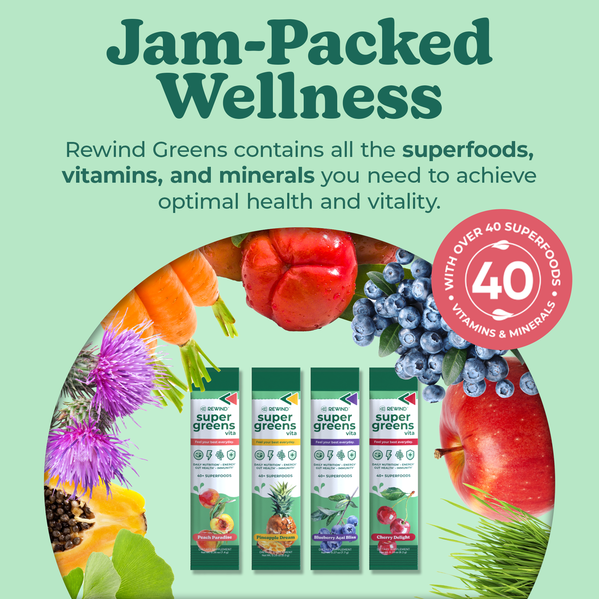 Vita Variety 12-Pack